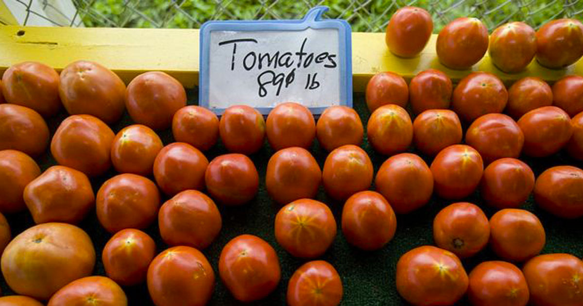 Aranceles al tomate mexicano