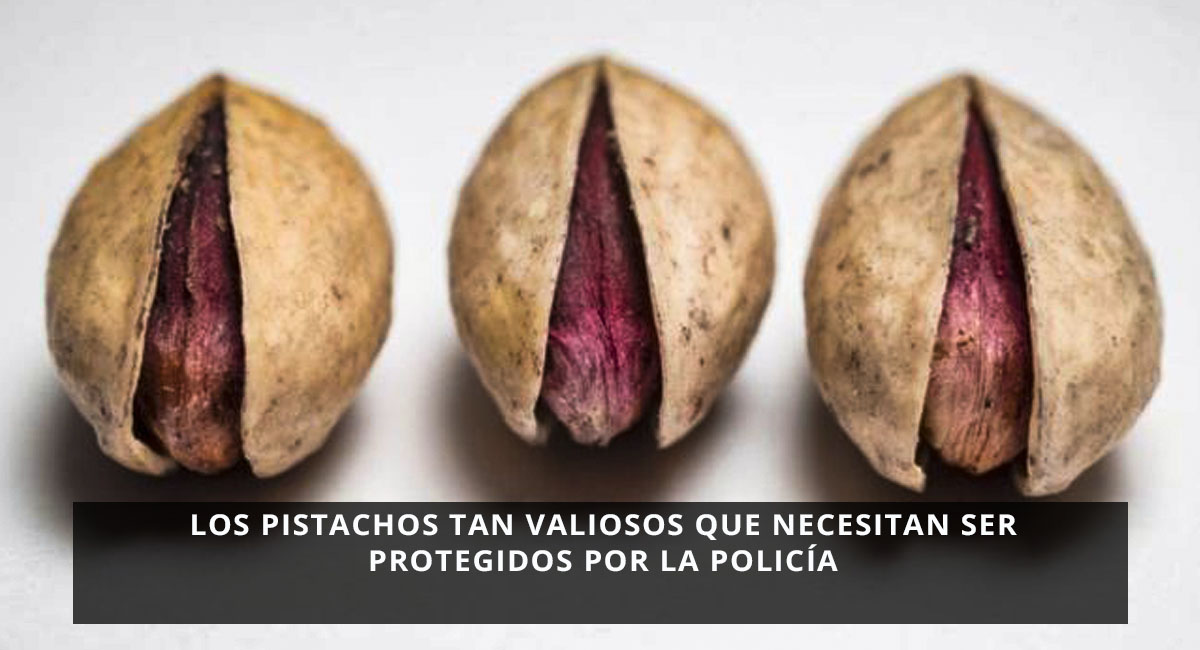 Los pistachos tan valiosos que necesitan ser protegidos por la policía
